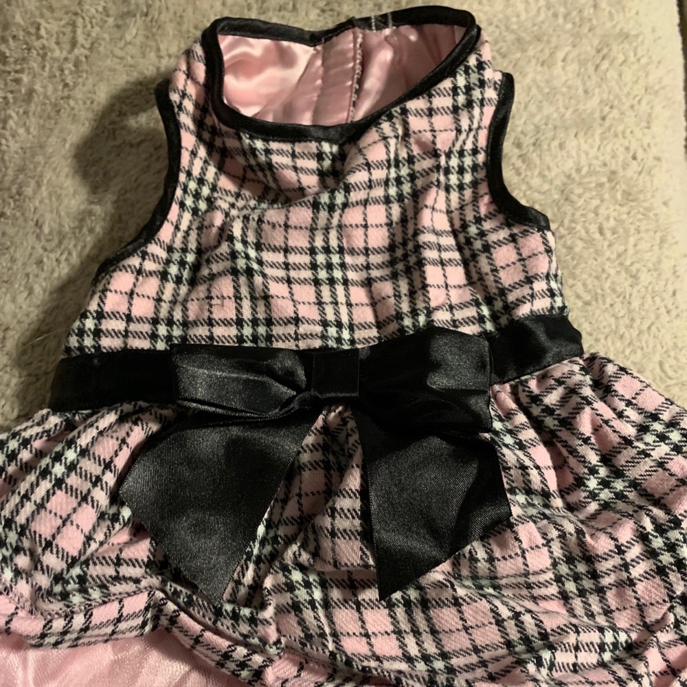 Medium size doggie dress